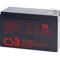 APC Replacement Battery Pack | Cartridge Replaces APC RBC110